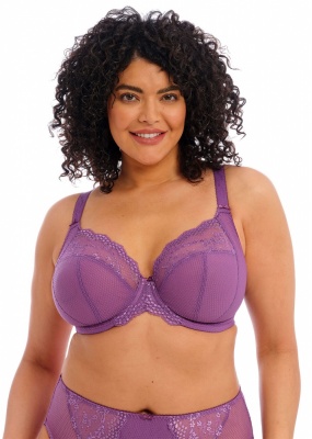 Elomi Charley Underwired Plunge Stretch Bra - Pansy