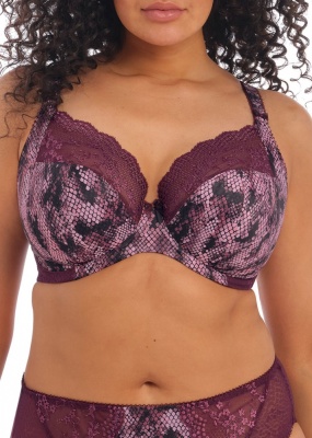 Elomi Lucie Plunge Stretch Bra - Mambo