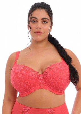 Elomi Brianna Underwired Padded Half Cup Bra  - Cayenne