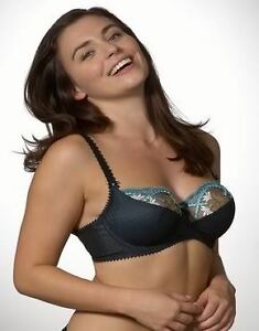 Fantasie Evie Underwired Padded Plunge Bra - Black - 32D