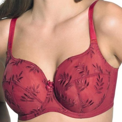 Panache Tango Underwired Plunge Bra - Cherry Red - 28DD