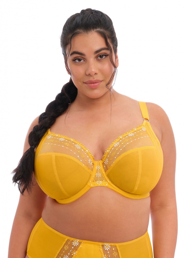 Elomi Matilda Underwired Plunge Bra Daisy Available at The Fitting Room